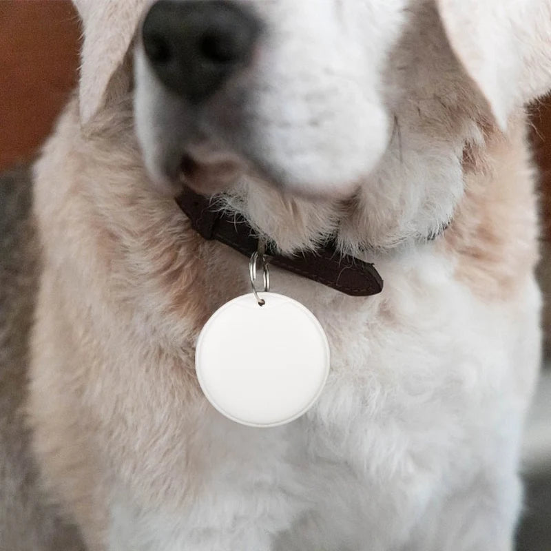 Smart GPS Pet Tracker