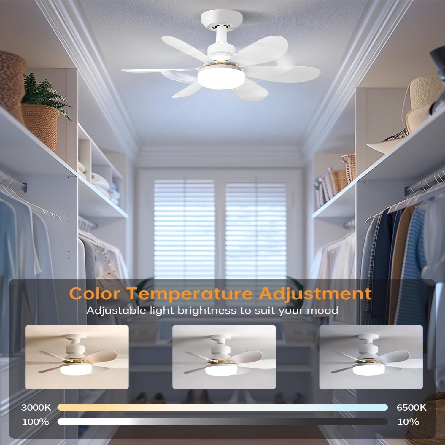 Small Socket Fan Light with Remote Control