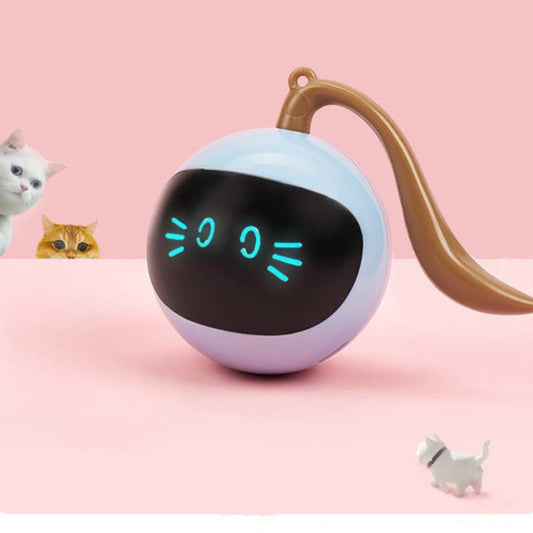 Interactive LED Pet Ball