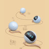 Interactive LED Pet Ball